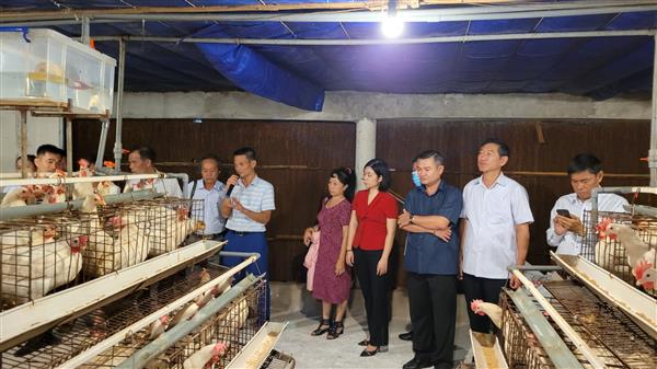 HNDT học tập mô hình HTX nuôi gà Nguyễn Gia - Hưng Yên_600_14112022135707.jpg