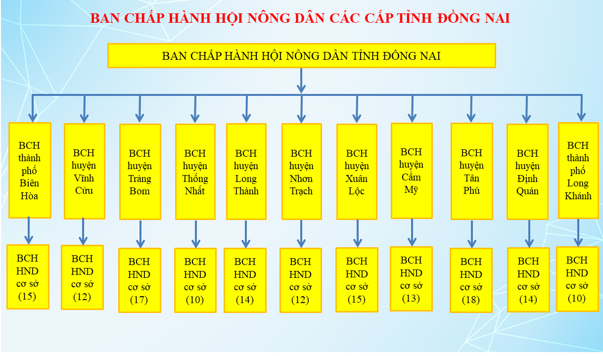 3 BCH Đồng Nai.PNG