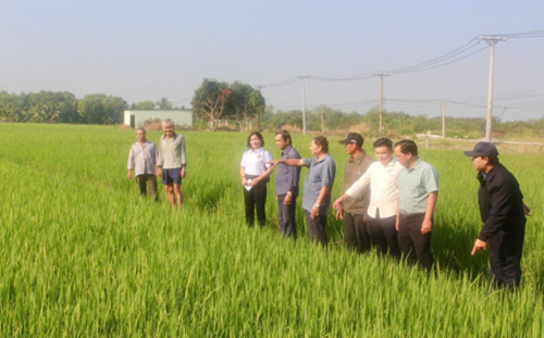 28.01 HND XA NHON TRACH 1.png