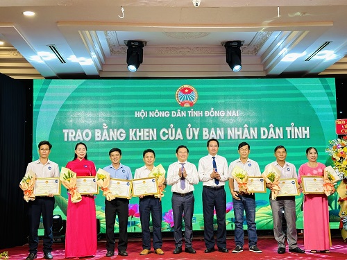 khen chị hội.jpg