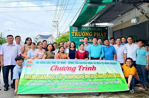 11.5 NHON TRACH 2.png