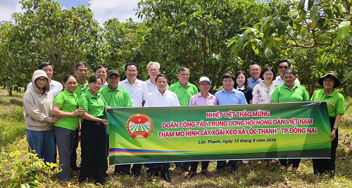 14.8 LOC THANH 2.png