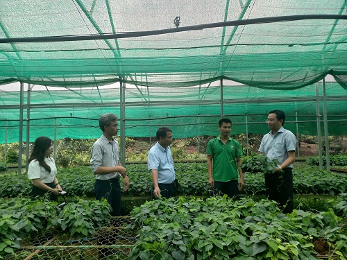 14.8 khao sat 2.jpg