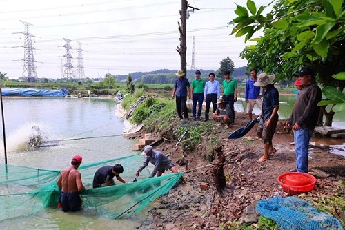 20.7 BINH MINH.jpg