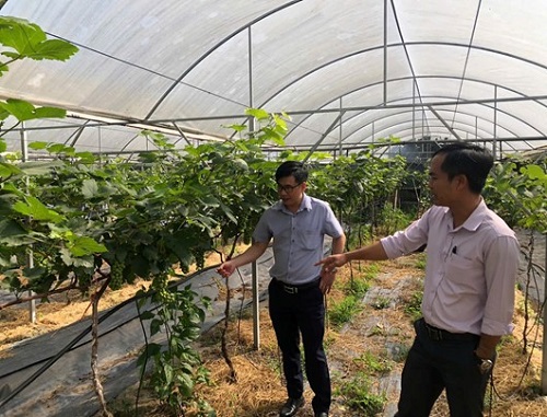 28.01. PHUONG CHON THANH 1.jpg