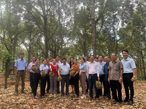 HND xã Nhân Nghĩa tổ chức tham quan mô hình trồng sầu riêng. 11.6.png