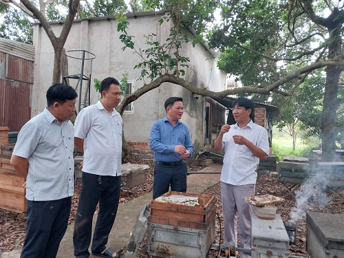 Nông dân Lê Lộc Quân. 15.9.jpg