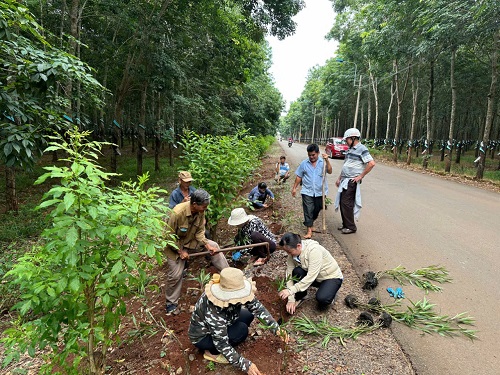 nông dân bàu sen trồng hoa 11.9.jpg