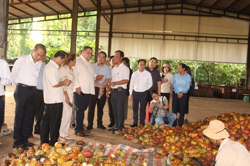 Đoàn Cuba tham quan mô hình cacao 30.10.jpg