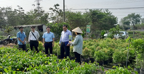 Đoàn khảo sát giống cây trồng tại xã Sông Trầu.jpg
